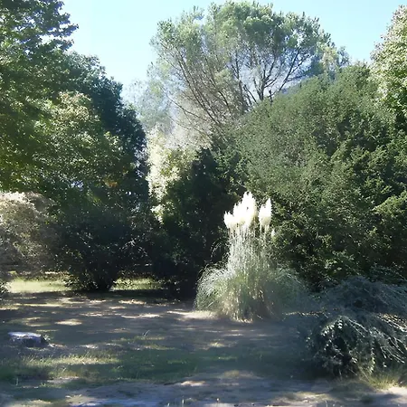 Les Pins - Domaine Des Landes *