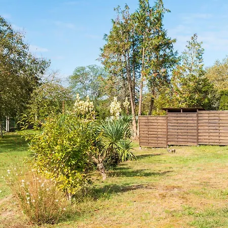 Les Pins - Domaine Des Landes Lesperon (Landes)