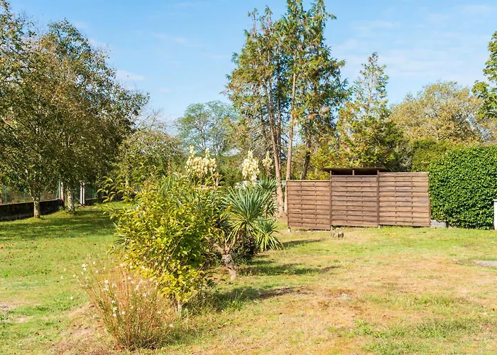 Les Pins - Domaine Des Landes Lesperon (Landes)